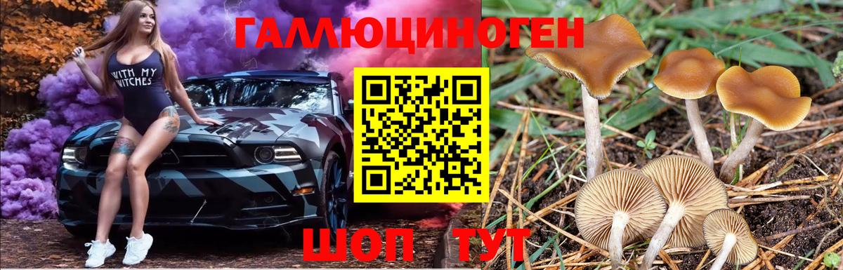 Галлюциногенные грибы мицелий Кубинка